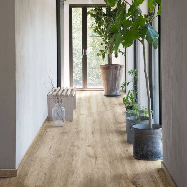 Montilla Planks - Ringo